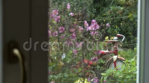 一扇玻璃门射向一个有自行车的花园视频的预览图