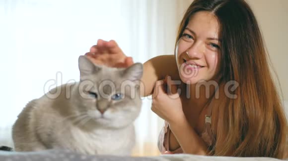 美丽的年轻女孩抚摸一只猫蓝眼睛的猫有一个粉红色的鼻子一个女人和一只猫躺在床上视频的预览图