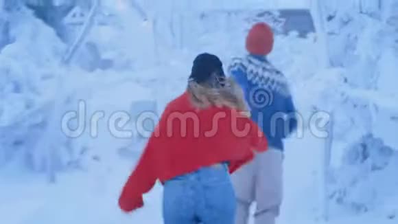 一对浪漫神奇的冬林夫妇视频的预览图