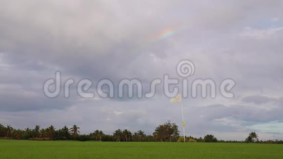 热带高尔夫球场天空中有棕榈树和彩虹视频的预览图
