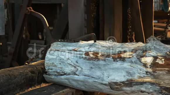关闭塔斯马尼亚一个历史悠久的休恩松工厂正在切割的原木视频的预览图