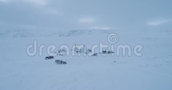 西伯利亚冻土带令人惊叹的景观是蒙古包的一个大营地从顶部带走无人机驯鹿就在附近视频的预览图