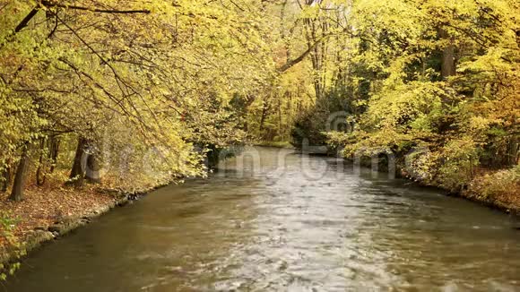 河的快速流动树的树冠挂在水面上慕尼黑的英国花园视频的预览图
