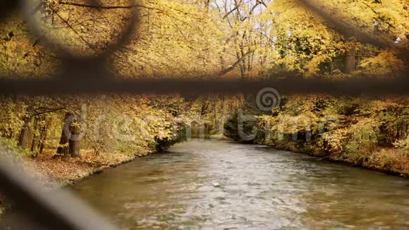 河的快速流动树的树冠挂在水面上慕尼黑的英国花园视频的预览图