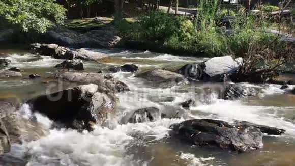 溪流中的瀑布视频的预览图
