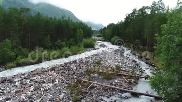 阴天松林里的山河视频的预览图