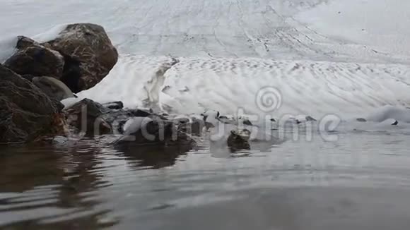 光滑的河流融化的溪流在斯洛文尼亚的群山中切割着雪岸视频的预览图