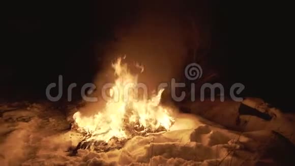 在森林里的夜晚燃烧在雪中的燃烧着燃烧着的火焰4K视频的预览图