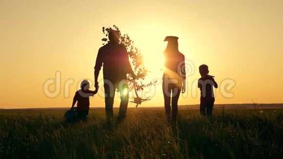 幸福与孩子紧密结合的家庭夕阳下农民在户外牵手的剪影爸爸抱着一棵小树视频的预览图