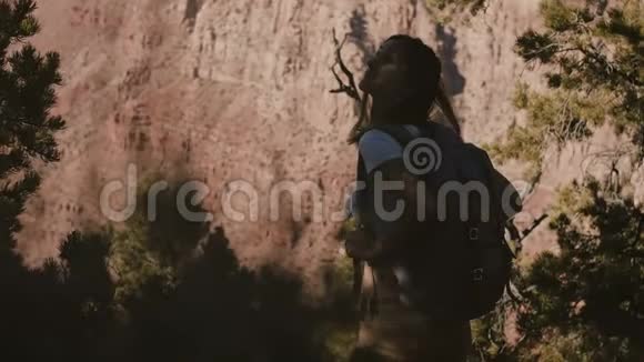 令人惊叹的电影镜头快乐的年轻女性游客与背包观看史诗般的夏季风景大峡谷山脊视频的预览图