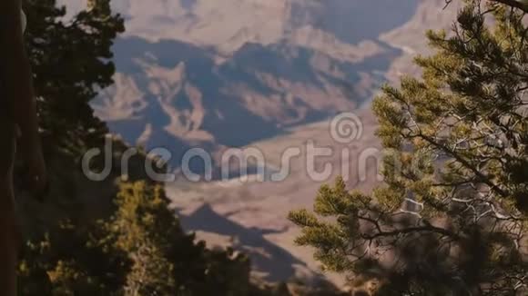 慢镜头后观欢乐游女徒步拍摄智能手机拍照史诗般的大峡谷公园山景视频的预览图