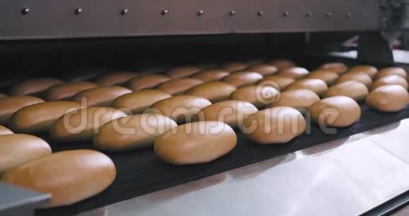 烘焙行业食品制造业烘焙面包从自动输送线上滚下来视频的预览图