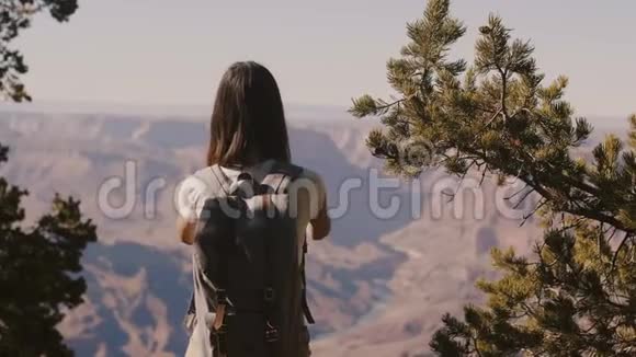 后景幸福的年轻女子在亚利桑那州大峡谷山景的令人难以置信的夏季全景照片视频的预览图