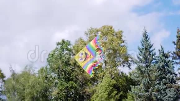 孩子们用五颜六色的颜料风筝的美丽镜头视频的预览图