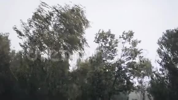 外面下着大雨从房子的阳台上看坏天气视频的预览图