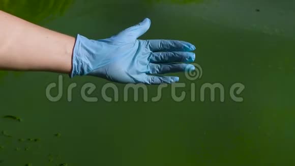 手举防护手套舀河水感染绿藻视频的预览图