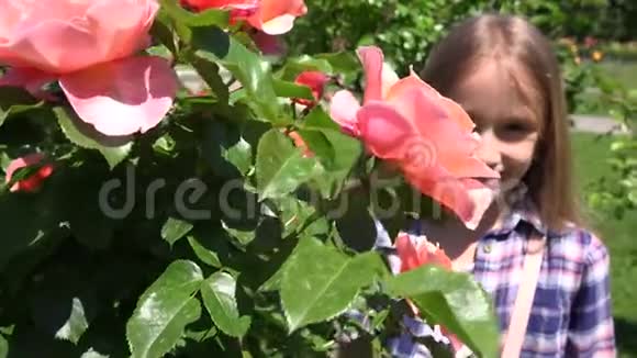 儿童肖像在公园的玫瑰丛边微笑笑女孩的脸4K视频的预览图