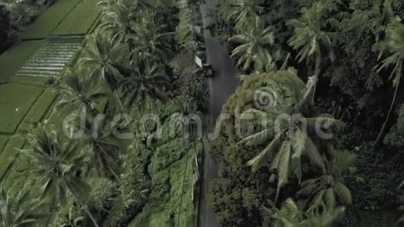 巴厘岛热带森林中的汽车和自行车4K无人机飞行视频的预览图