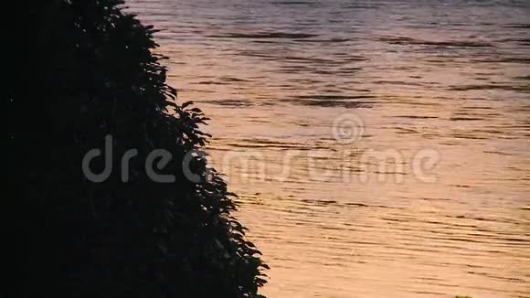 带有日落色反射的河流视频的预览图