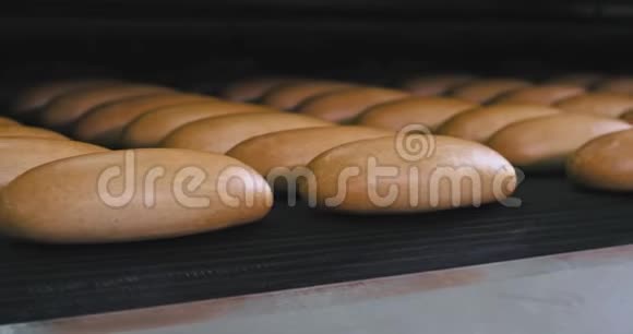 细节特写自动线和传送带面包师面包从皮带现代机器在一家面包厂视频的预览图