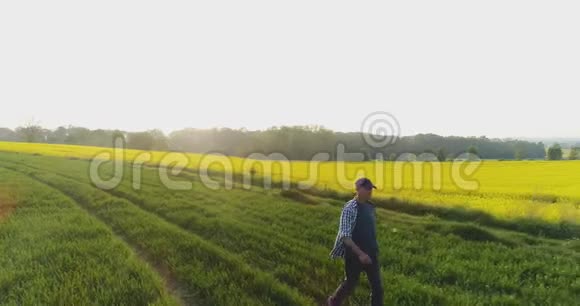 农夫在金色的夕阳下用数码平板电脑在农场散步视频的预览图
