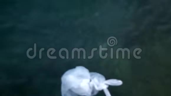 白色塑料袋在海上移动海浪在海上移动塑料视频的预览图