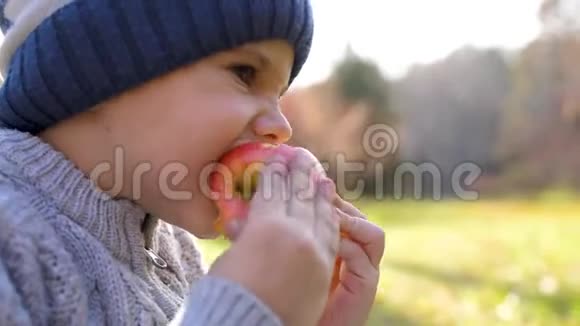 一个在秋天公园野餐的孩子他吃了一个多汁的红苹果合上脸视频的预览图