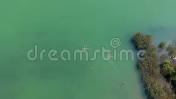匈牙利巴拉顿湖游泳的无人机图片视频的预览图