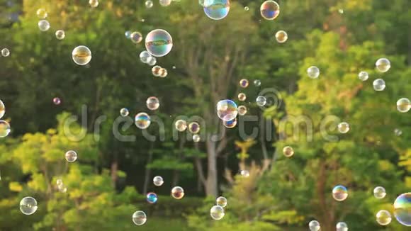 肥皂泡漂浮在空气中自然绿色模糊的背景适合公园里的孩子和孩子视频的预览图