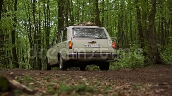 春季欧洲国家公园快乐的汽车之旅视频的预览图