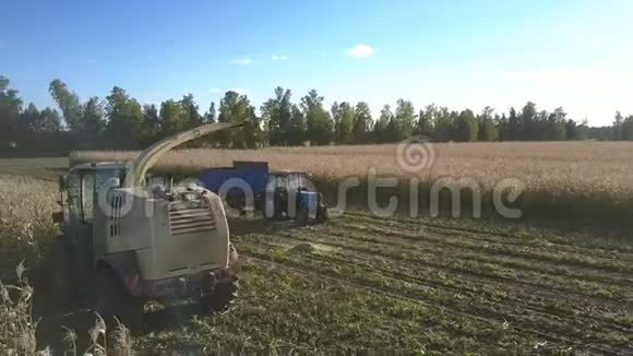 拖拉机接近收割机装载成熟玉米视频的预览图