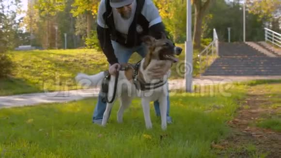 公园里有条狗的中年男人视频的预览图