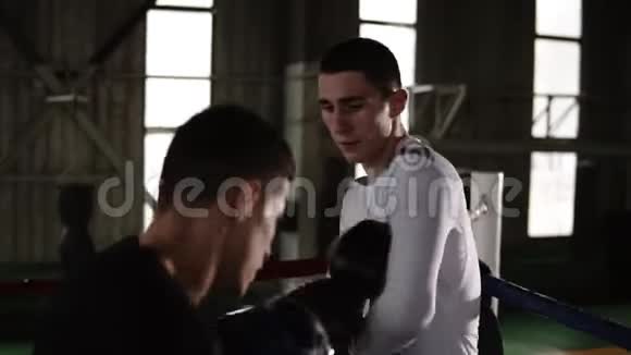 两名年轻拳击伙伴的拳击训练练习打击技术架子那个人把他的对手压在视频的预览图