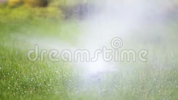 草坪喷雾器给公园里的草浇水视频的预览图