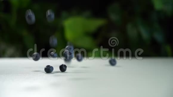 慢动作蓝莓摔在一张白色的桌子上摔在上面背景是绿色植物的美丽框架视频的预览图