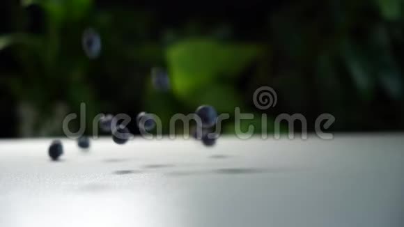 慢动作蓝莓摔在一张白色的桌子上摔在上面背景是绿色植物的美丽框架视频的预览图