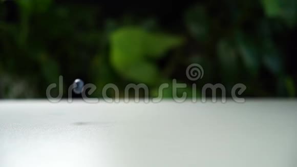 慢镜头美味的蓝莓落在白色的桌子上背景中绿色植物的电影景观视频的预览图