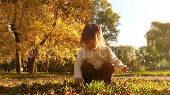 蹲在秋天公园里玩秋叶的小宝宝视频的预览图