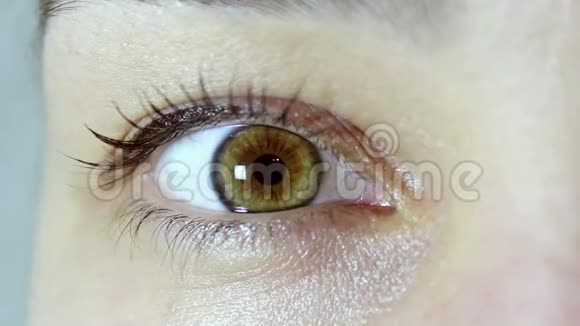 一个年轻漂亮女孩的棕色眼睛女孩看着相机眨了眨眼睛视频的预览图