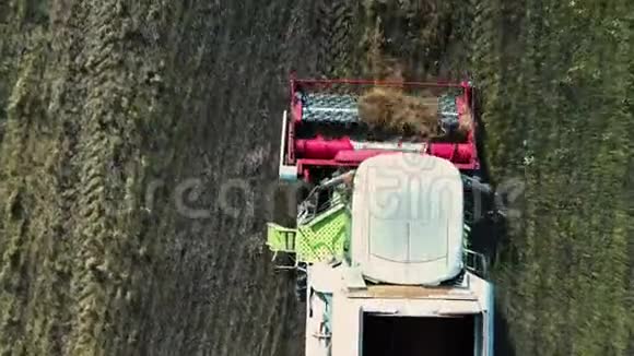 空中观景联合收割机收集成熟的小麦在麦田里留下一团尘土视频的预览图
