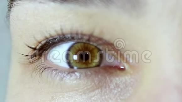 一个年轻漂亮女孩的棕色眼睛女孩看着相机眨了眨眼睛视频的预览图