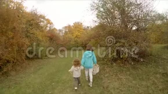 孩子们牵着手在秋天的森林里散步视频的预览图
