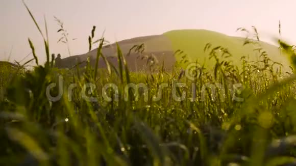 滑动摄像头充气热气球准备日出飞行早上雾蒙蒙的草地上晶莹的露水视频的预览图