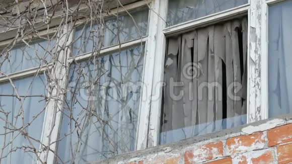 被遗弃的老窗户上有树枝和破烂的窗帘视频的预览图