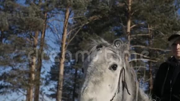骑士正穿过森林视频的预览图