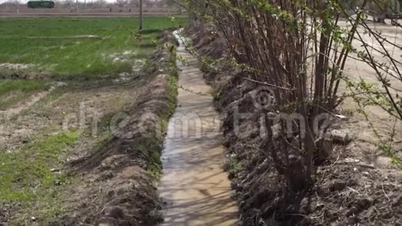 乌兹别克斯坦种植园灌溉水流视频的预览图