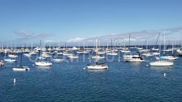 加州阳光明媚的日子帆船和游艇停泊在港口视频的预览图