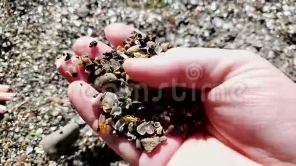 寻找与沙滩沙混在一起的海玻璃视频的预览图