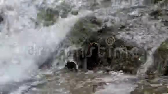小瀑布的特写与摩西公鸡潘射视频的预览图