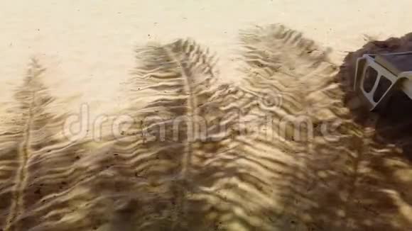 沙滩上棕榈叶的阴影4K视频视频的预览图